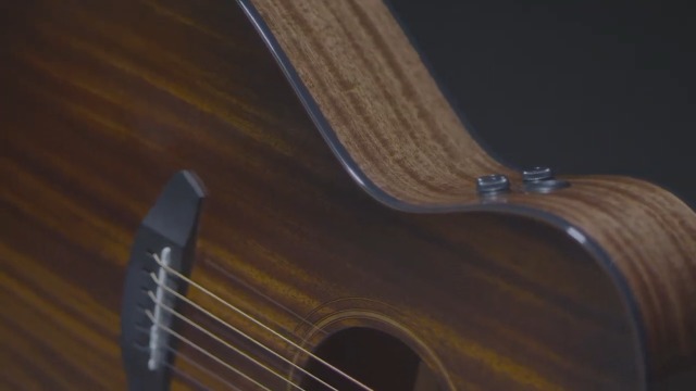 Amazon.com: Breedlove Wildwood Pro Concerto CE 6-String